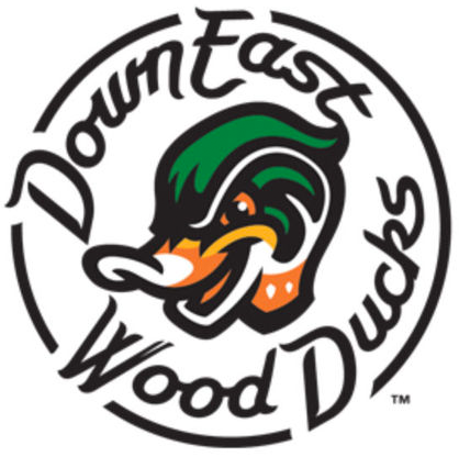 Down East Wood Ducks 2017-Pres Primary Logo iron on paper